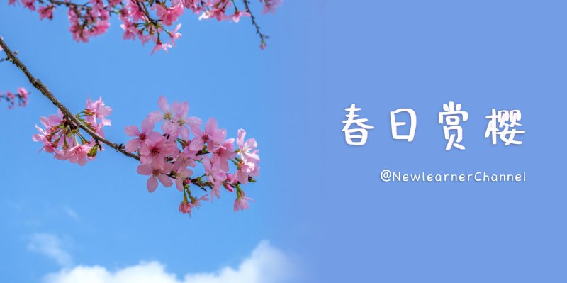 #Photo🌸 春日赏樱 —— 赏樱与拍摄技巧分享📅 什么时候赏樱樱花的开放与所处地区的气温、日照时数密切相关